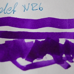 Violet-NR_06-s-01